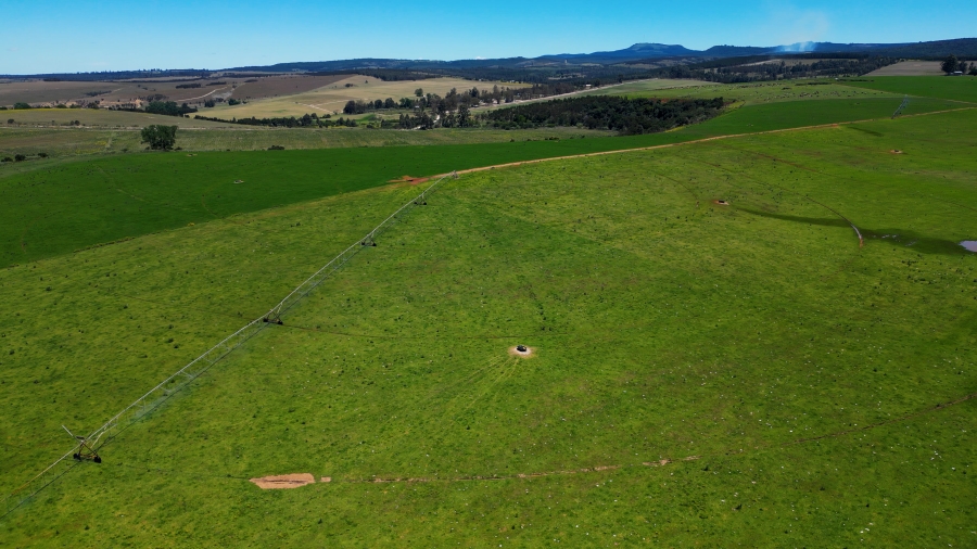 0 Bedroom Property for Sale in Stutterheim Rural Eastern Cape